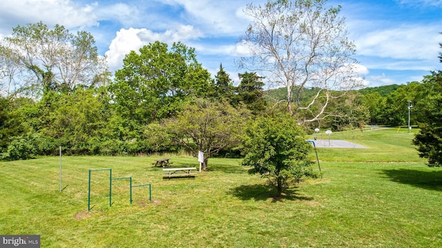 view of community featuring a yard