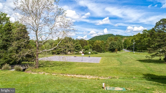 view of property's community featuring a lawn