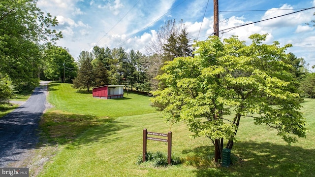 view of yard featuring driveway and an outdoor structure