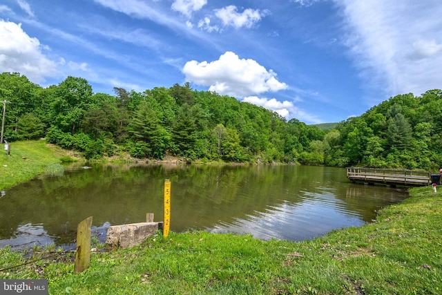 property view of water with a wooded view