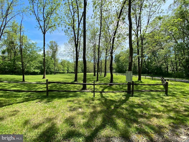 view of yard featuring a view of trees