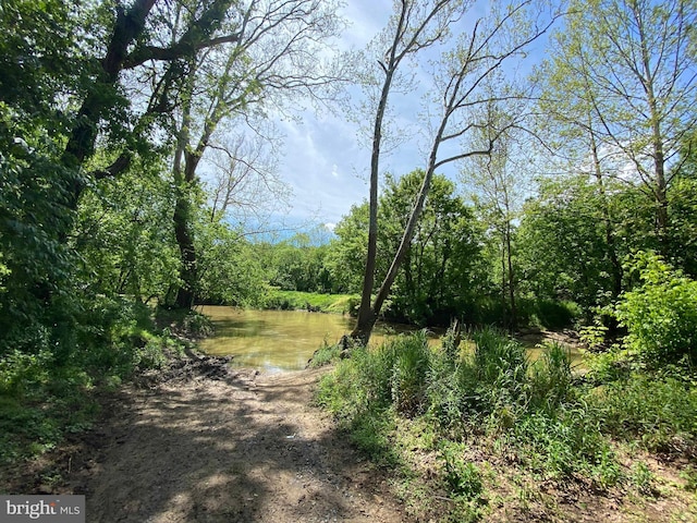 view of landscape featuring a water view