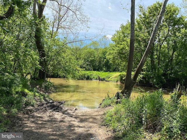 view of local wilderness featuring a water view and a view of trees