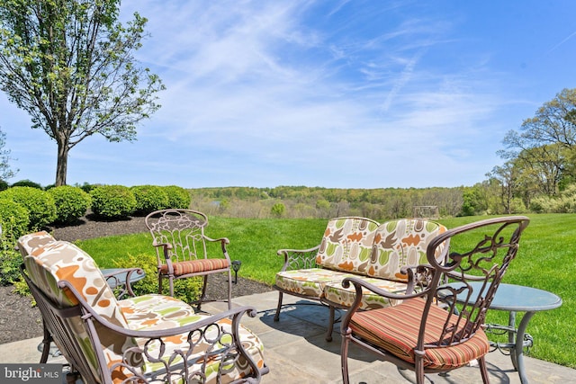 40959 Pacer Ln, Paeonian Springs, VA 20129 - view of patio featuring a view of trees