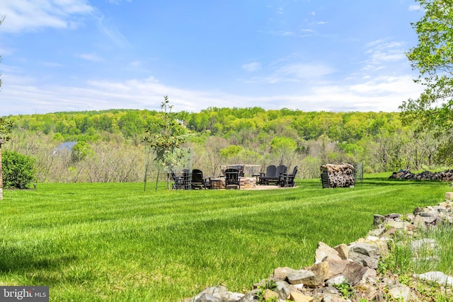 40959 Pacer Ln, Paeonian Springs, VA 20129 - view of yard featuring a forest view and an outdoor fire pit