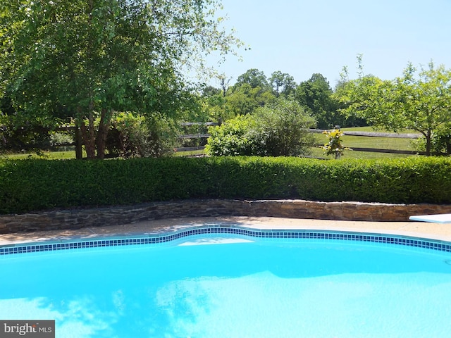 pool with a diving board