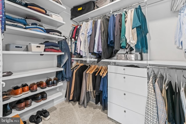 spacious closet featuring light carpet