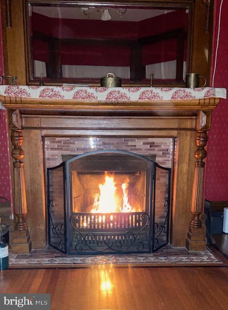 details featuring a fireplace and hardwood / wood-style flooring