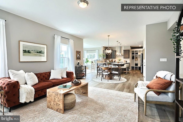 living room with light hardwood / wood-style flooring