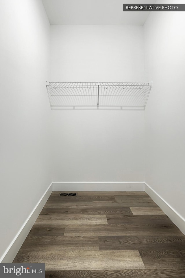 spacious closet featuring wood finished floors