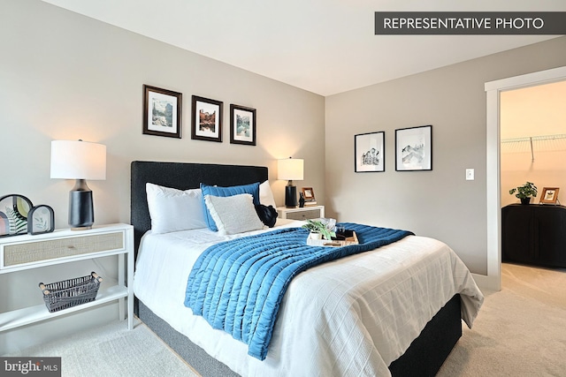 bedroom featuring carpet flooring