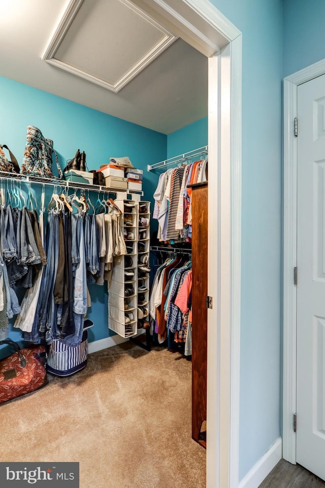 spacious closet with carpet