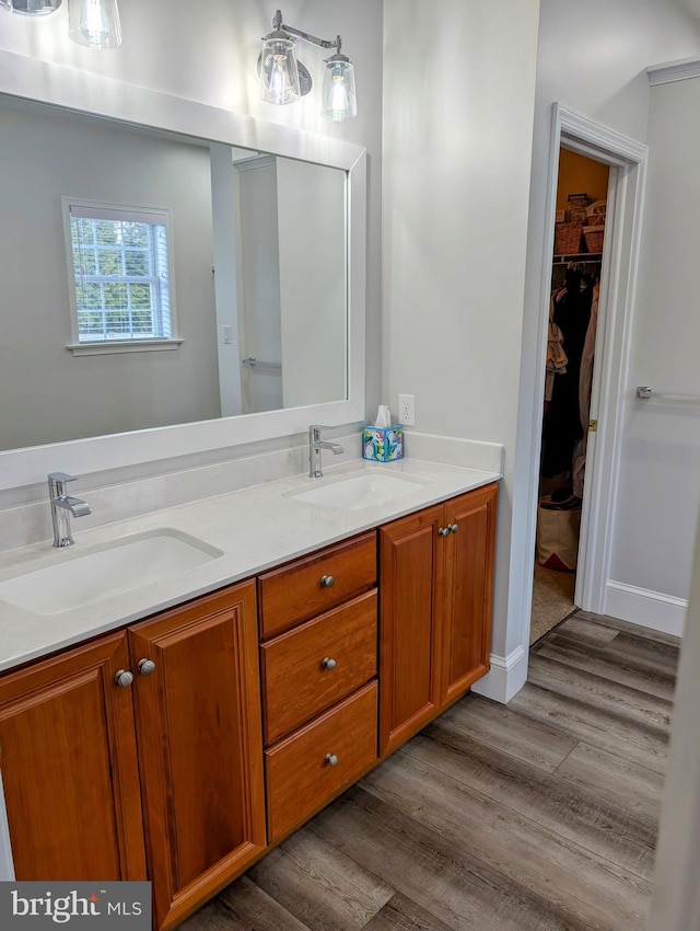 bathroom with hardwood / wood-style floors and vanity