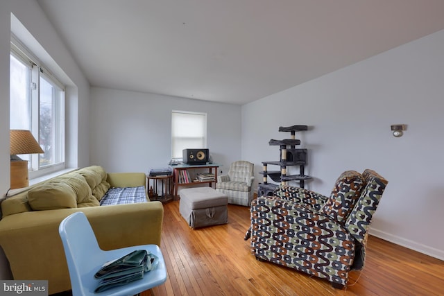 living room featuring wood-type flooring