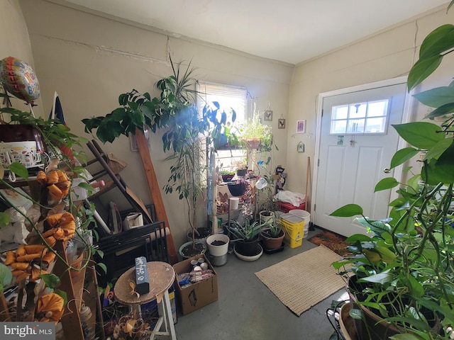 interior space featuring concrete flooring