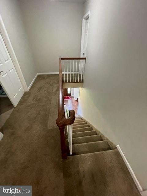 stairway with carpet flooring