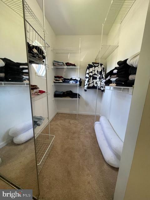 spacious closet with carpet flooring