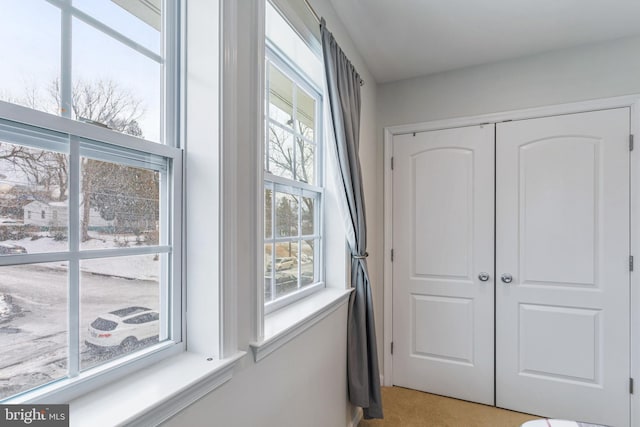 interior space featuring a closet and multiple windows