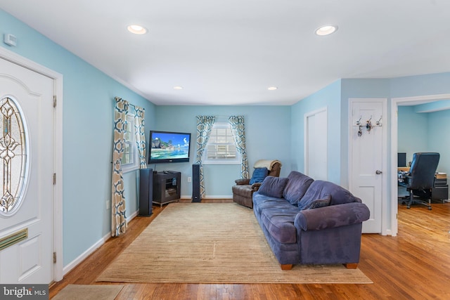 living room with hardwood / wood-style floors