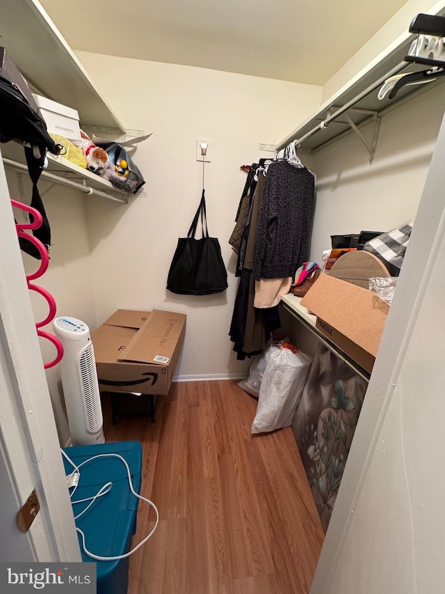 spacious closet featuring wood-type flooring