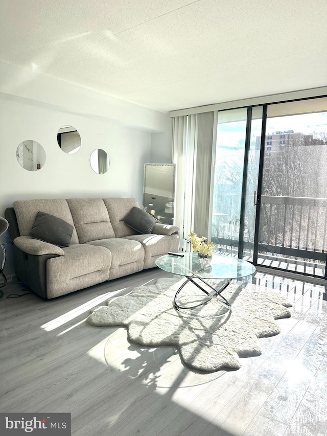 living room featuring a textured ceiling, a wall of windows, and wood-type flooring