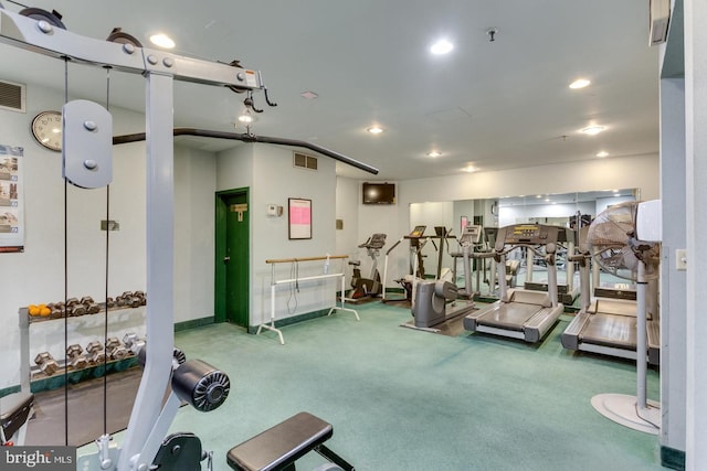 exercise room featuring carpet floors