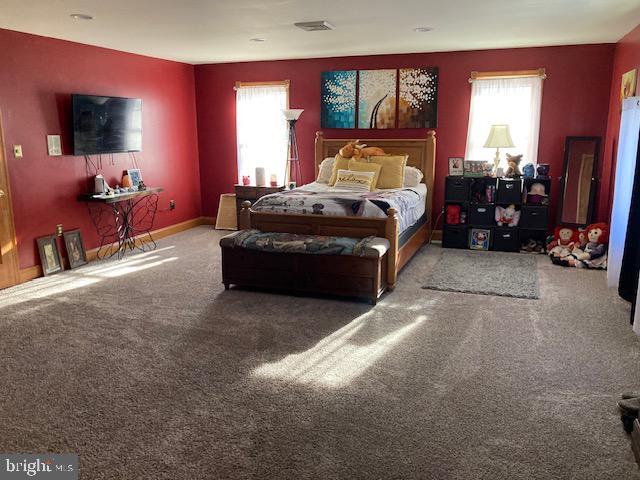 bedroom with carpet flooring and multiple windows