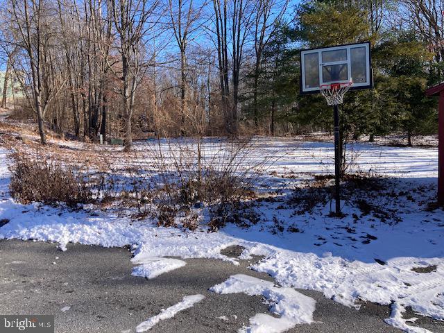 view of yard covered in snow