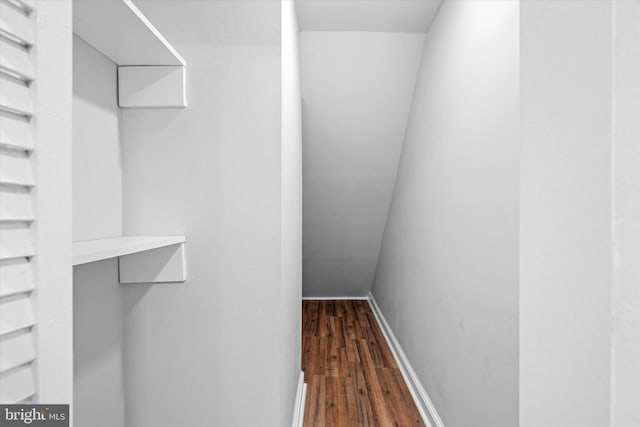 spacious closet featuring dark hardwood / wood-style flooring