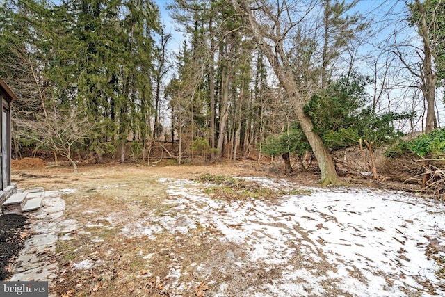 view of yard covered in snow