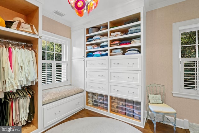 spacious closet featuring dark wood-type flooring