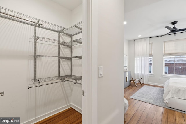 spacious closet featuring hardwood / wood-style flooring and a ceiling fan