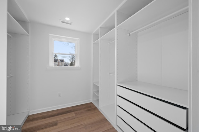 spacious closet with dark wood-type flooring