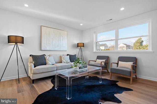 living room with wood-type flooring