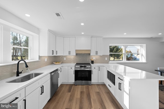 kitchen featuring white cabinetry, a healthy amount of sunlight, stainless steel appliances, and sink