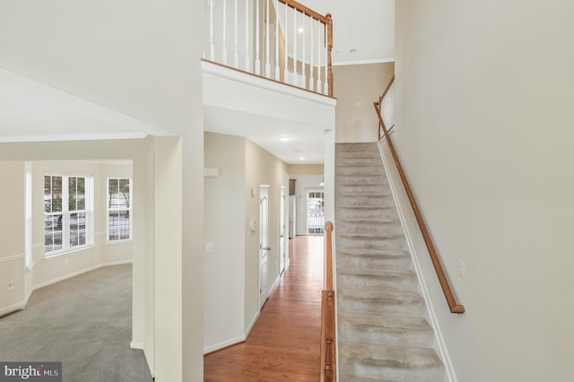 stairway with a high ceiling and carpet