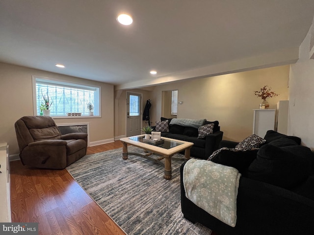 living room with wood-type flooring