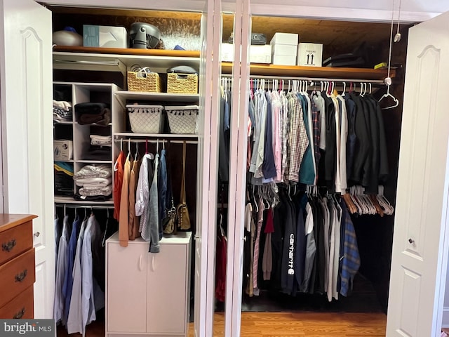 view of closet