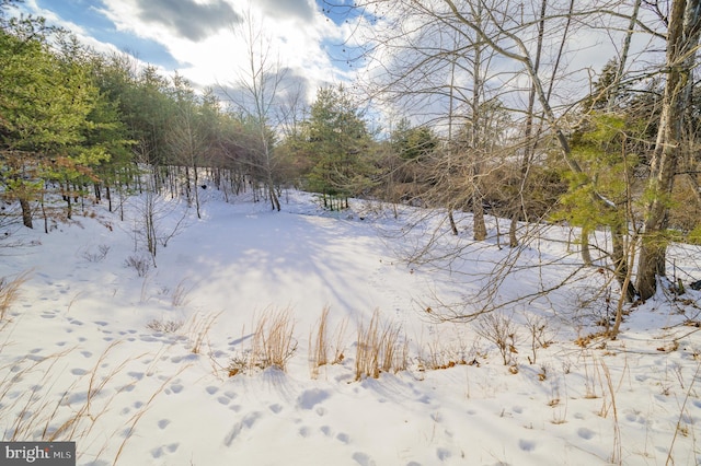 Listing photo 3 for Annandale Dr, Gerrardstown WV 25420