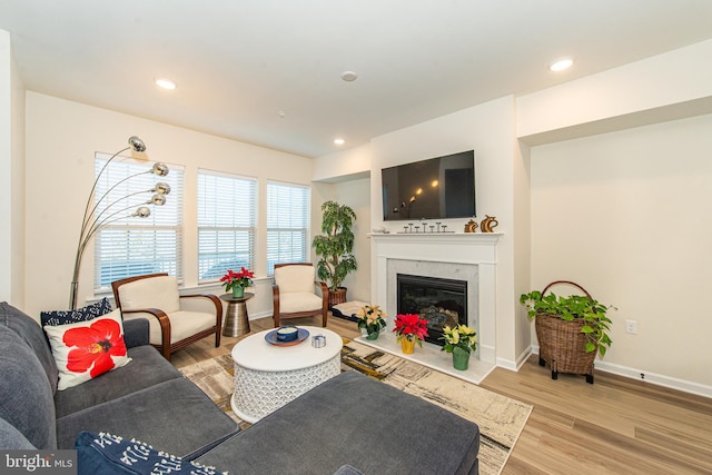 living room featuring a high end fireplace and light wood-type flooring