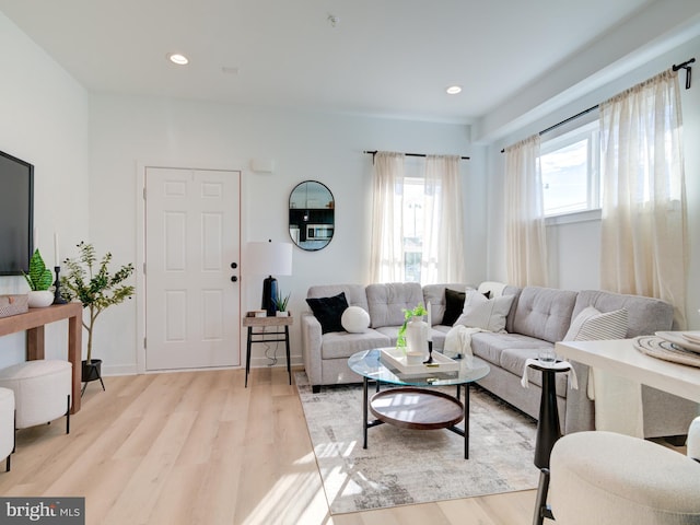 living room with light hardwood / wood-style flooring