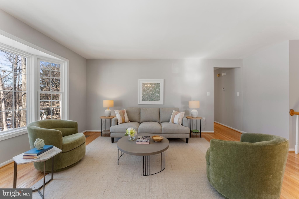 living room featuring a wealth of natural light and wood-type flooring