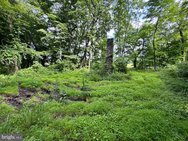 view of landscape