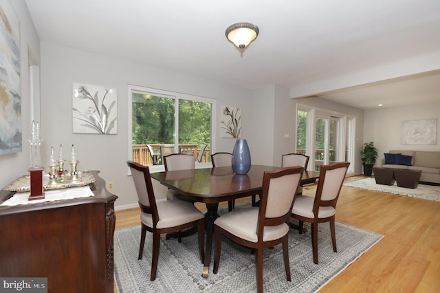 dining room featuring wood-type flooring