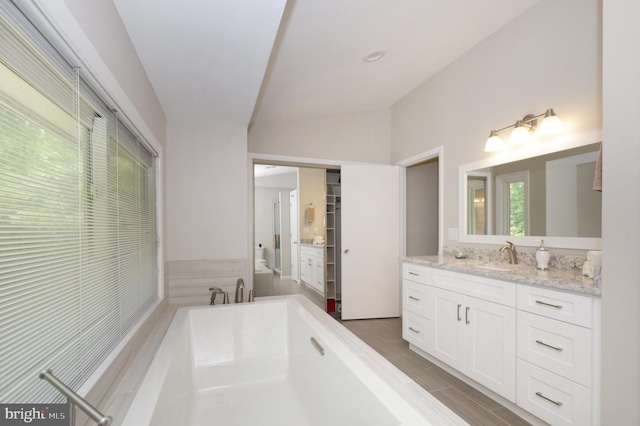 bathroom featuring vanity, vaulted ceiling, and a healthy amount of sunlight