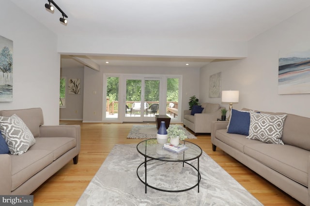 living room with light wood-type flooring and track lighting