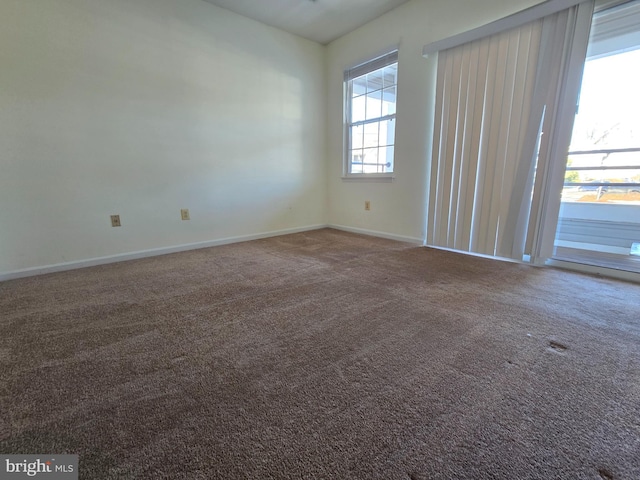 spare room featuring carpet flooring