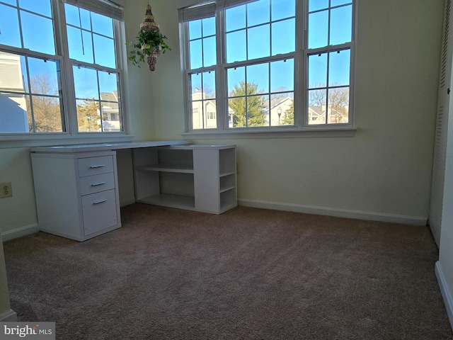 unfurnished office with carpet floors