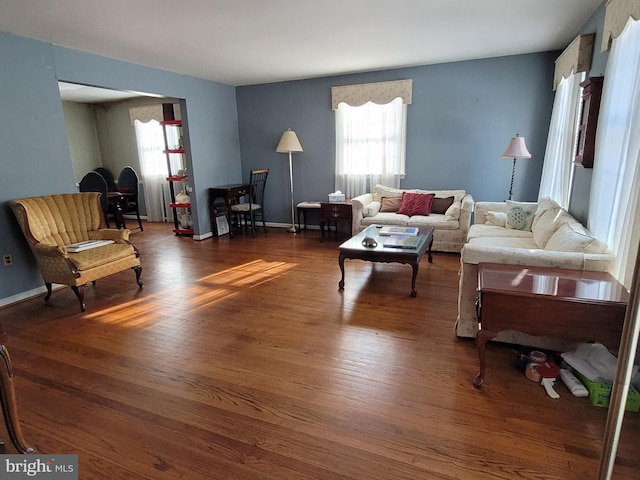 living room featuring dark hardwood / wood-style flooring