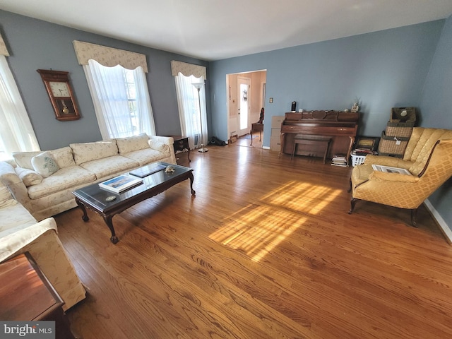 living room featuring hardwood / wood-style flooring